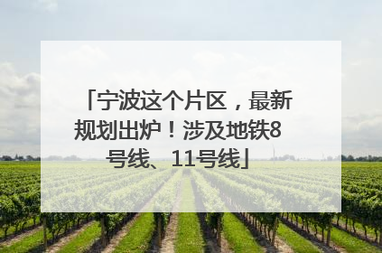 宁波这个片区，最新规划出炉！涉及地铁8号线、11号线