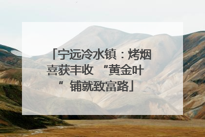 宁远冷水镇：烤烟喜获丰收 “黄金叶”铺就致富路