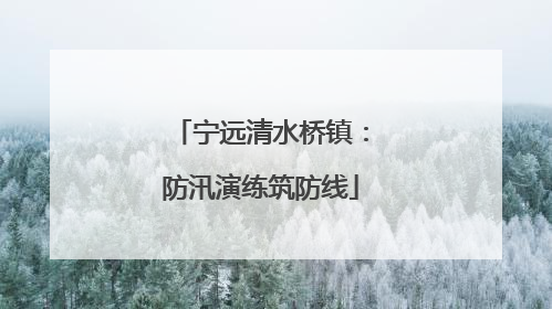 宁远清水桥镇：防汛演练筑防线