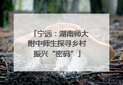宁远：湖南师大附中师生探寻乡村振兴“密码”
