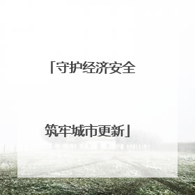 守护经济安全 筑牢城市更新