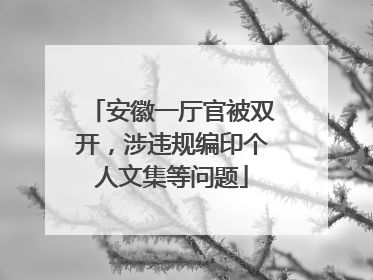 安徽一厅官被双开，涉违规编印个人文集等问题