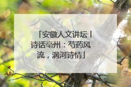 安徽人文讲坛丨诗话亳州：芍药风流，涡河诗情