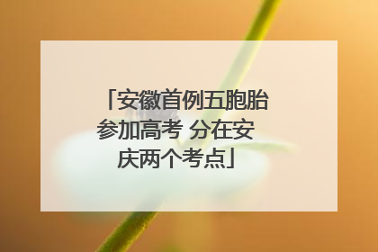 安徽首例五胞胎参加高考 分在安庆两个考点