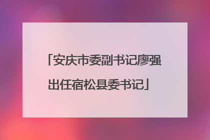 安庆市委副书记廖强出任宿松县委书记