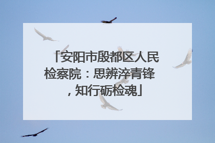 安阳市殷都区人民检察院：思辨淬青锋，知行砺检魂