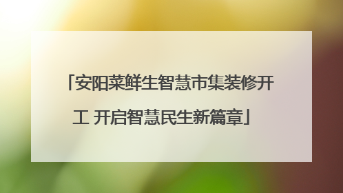 安阳菜鲜生智慧市集装修开工 开启智慧民生新篇章