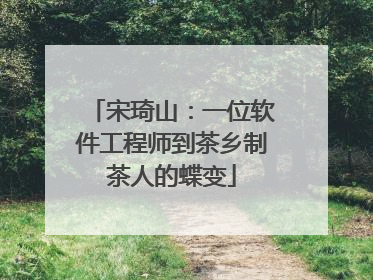 宋琦山：一位软件工程师到茶乡制茶人的蝶变