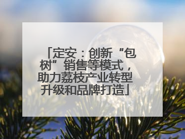 定安：创新“包树”销售等模式，助力荔枝产业转型升级和品牌打造