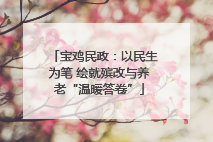 宝鸡民政：以民生为笔 绘就殡改与养老“温暖答卷”