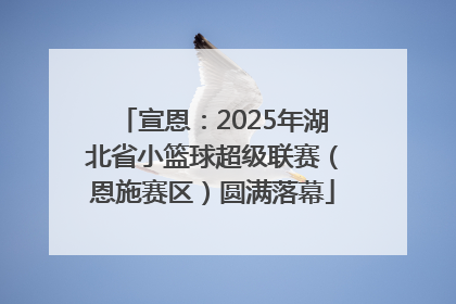 宣恩：2025年湖北省小篮球超级联赛（恩施赛区）圆满落幕