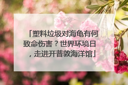 塑料垃圾对海龟有何致命伤害？世界环境日，走进开普敦海洋馆