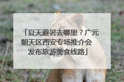 夏天避暑去哪里？广元朝天区西安专场推介会 发布旅游美食线路