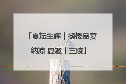 夏耘生辉｜撷樱品宴纳凉 夏趣十三陵