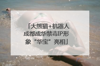 大熊猫+机器人 成都成华禁毒IP形象“华宝”亮相