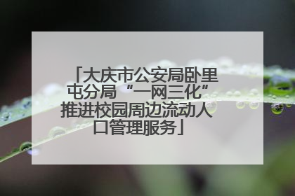 大庆市公安局卧里屯分局“一网三化”推进校园周边流动人口管理服务