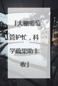 大棚葡萄管护忙，科学疏果助丰收