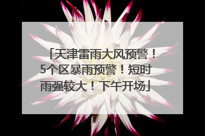 天津雷雨大风预警！5个区暴雨预警！短时雨强较大！下午开场