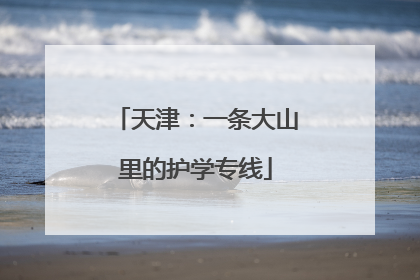 天津：一条大山里的护学专线