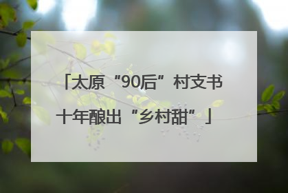 太原“90后”村支书十年酿出“乡村甜”