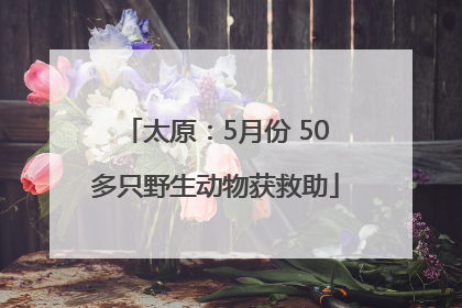 太原：5月份 50多只野生动物获救助