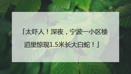 太吓人！深夜，宁波一小区楼道里惊现1.5米长大白蛇！