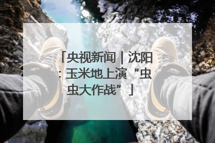 央视新闻｜沈阳：玉米地上演“虫虫大作战”