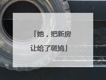 她，把新房让给了斑鸠