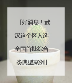 好消息！武汉这个区入选全国首批综合类典型案例