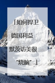 如何捍卫德国利益 默茨访美很“烧脑”