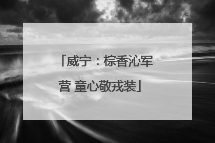 威宁：棕香沁军营 童心敬戎装