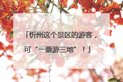 忻州这个景区的游客，可“一票游三地”！