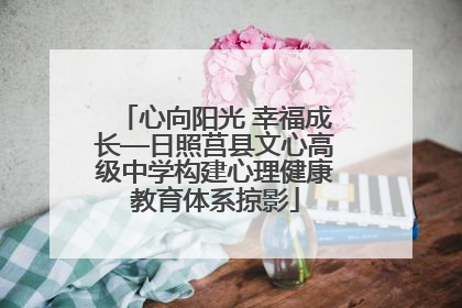 心向阳光 幸福成长—日照莒县文心高级中学构建心理健康教育体系掠影
