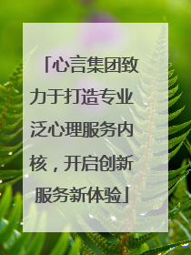 心言集团致力于打造专业泛心理服务内核，开启创新服务新体验