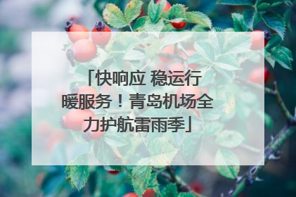 快响应 稳运行 暖服务！青岛机场全力护航雷雨季
