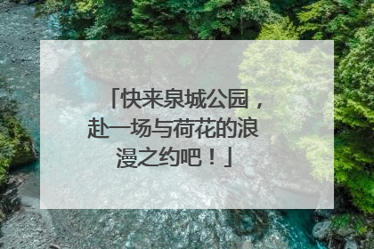 快来泉城公园，赴一场与荷花的浪漫之约吧！