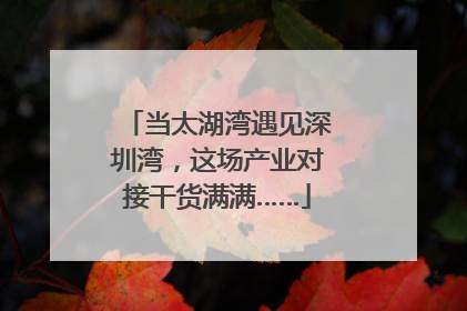 当太湖湾遇见深圳湾，这场产业对接干货满满……