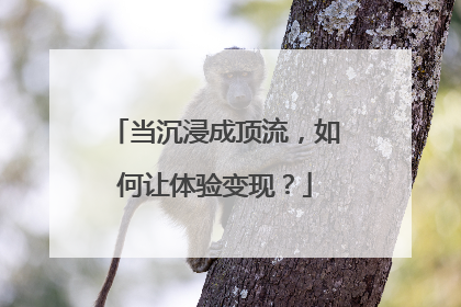 当沉浸成顶流，如何让体验变现？