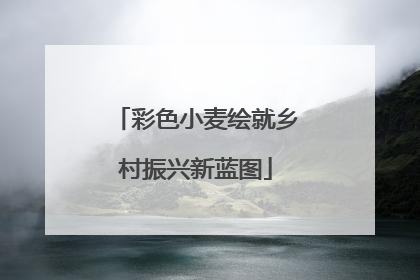 彩色小麦绘就乡村振兴新蓝图