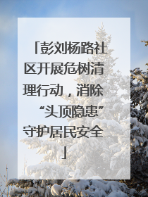 彭刘杨路社区开展危树清理行动，消除“头顶隐患”守护居民安全