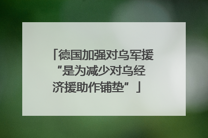 德国加强对乌军援 “是为减少对乌经济援助作铺垫”