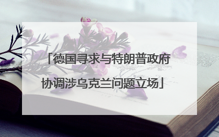 德国寻求与特朗普政府协调涉乌克兰问题立场
