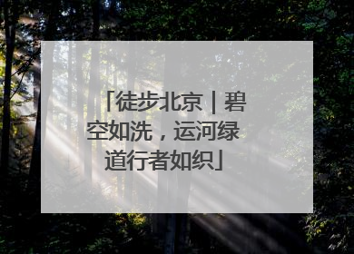 徒步北京｜碧空如洗，运河绿道行者如织