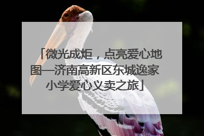 微光成炬，点亮爱心地图—济南高新区东城逸家小学爱心义卖之旅