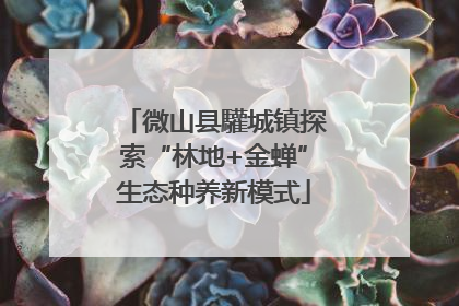 微山县驩城镇探索“林地+金蝉”生态种养新模式