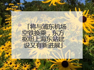将与浦东机场空铁换乘，东方枢纽上海东站建设又有新进展