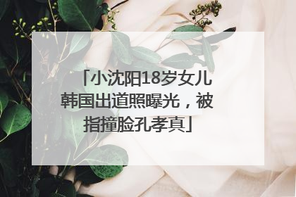 小沈阳18岁女儿韩国出道照曝光，被指撞脸孔孝真