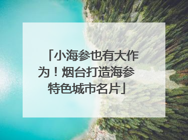 小海参也有大作为！烟台打造海参特色城市名片