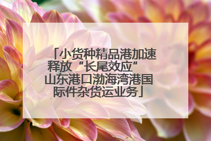 小货种精品港加速释放“长尾效应” 山东港口渤海湾港国际件杂货运业务