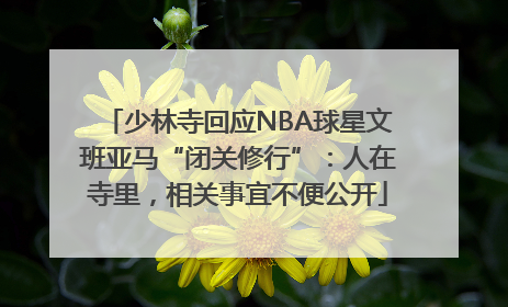 少林寺回应NBA球星文班亚马“闭关修行”：人在寺里，相关事宜不便公开